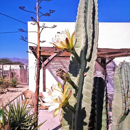 Cortijo La Ciclona Appartamento Fernan Perez